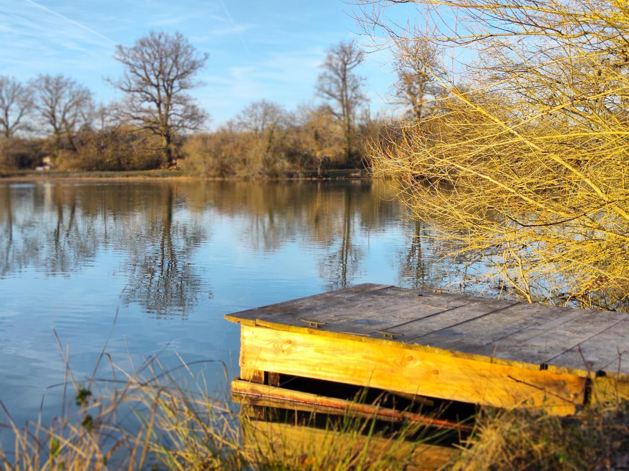 Domaine De La Roseliere • Nature • Brenne Rosnay  Esterno foto