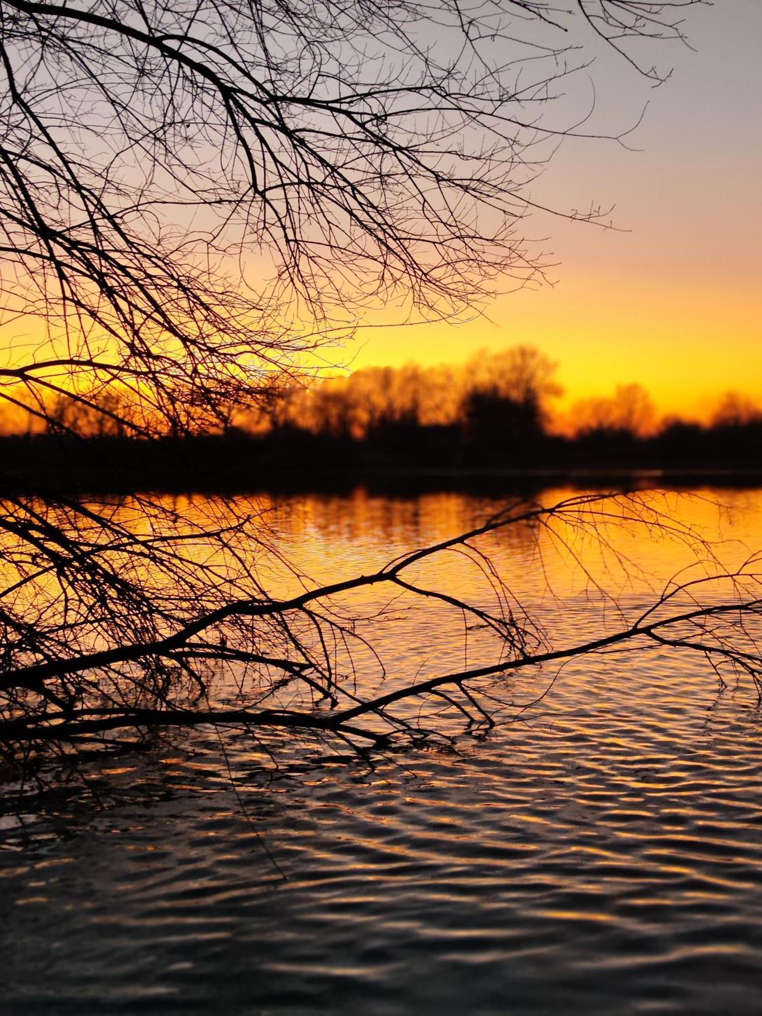 Domaine De La Roseliere • Nature • Brenne Rosnay  Esterno foto