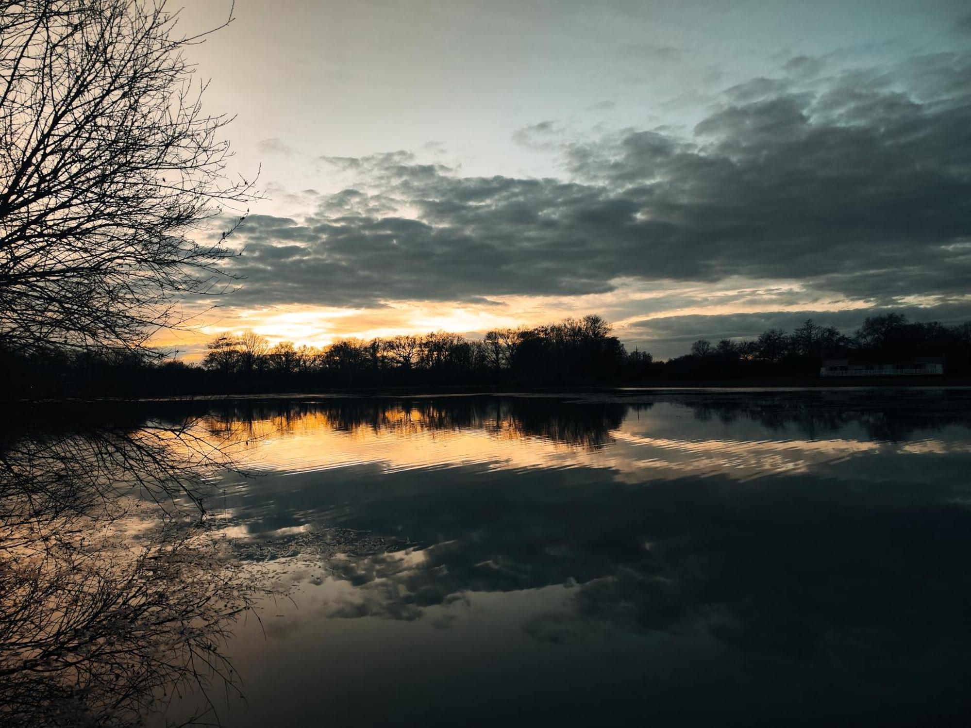 Domaine De La Roseliere • Nature • Brenne Rosnay  Esterno foto