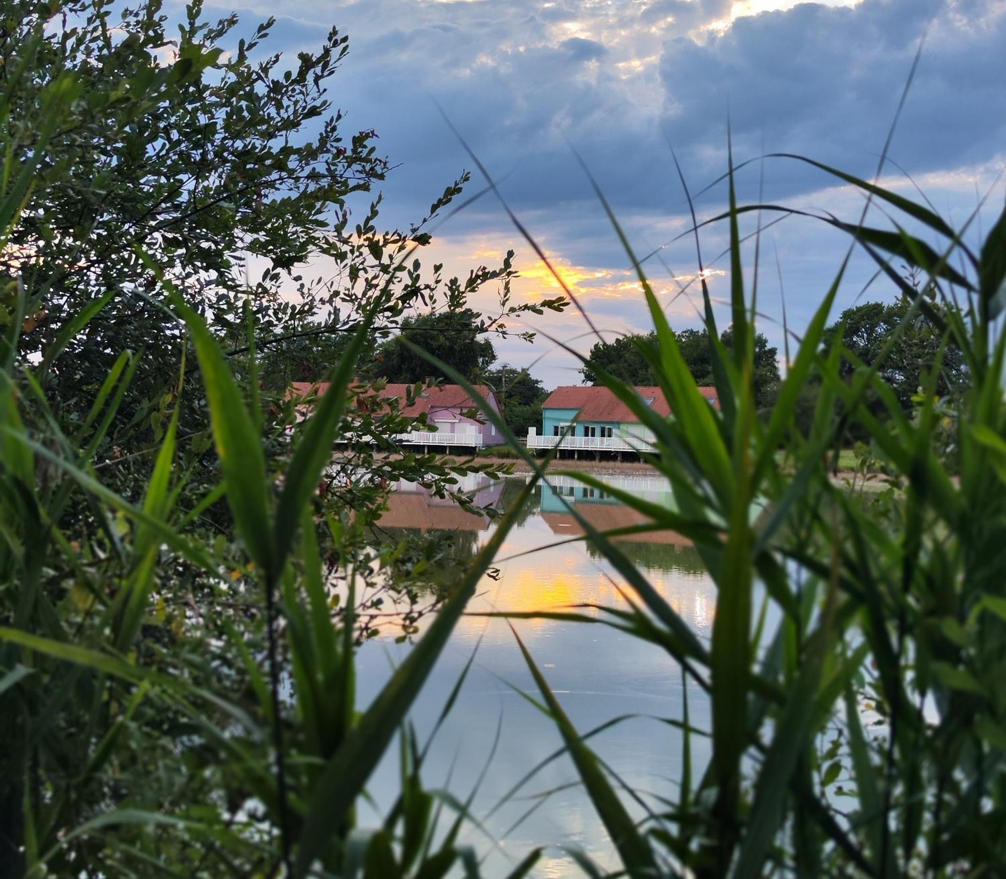 Domaine De La Roseliere • Nature • Brenne Rosnay  Esterno foto